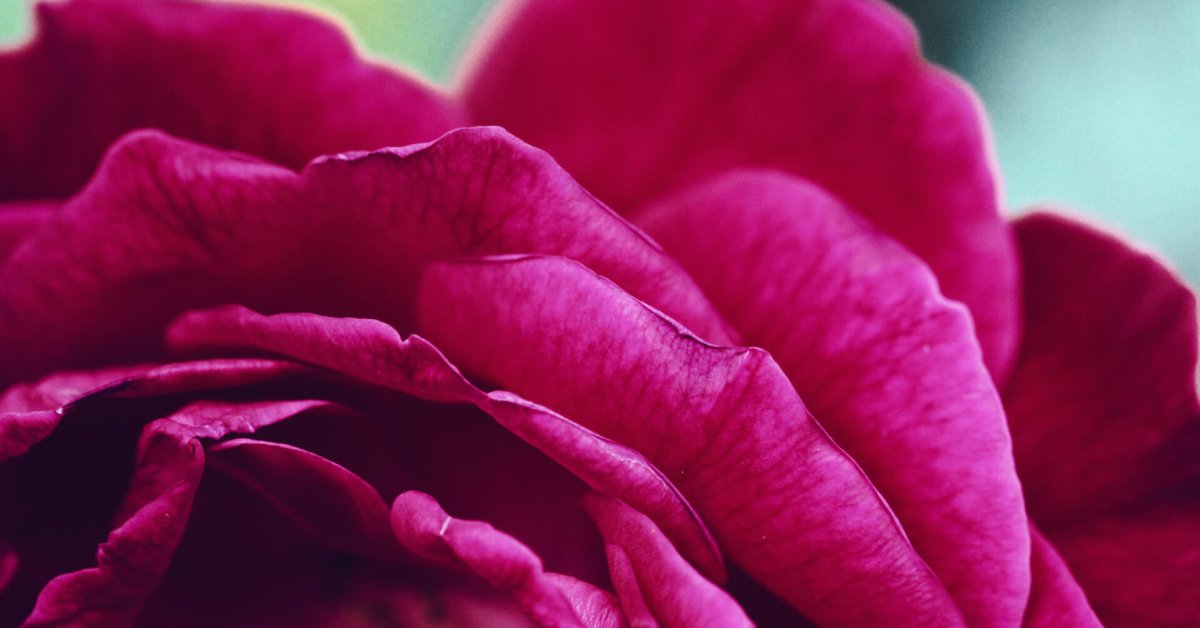 Easy Vegan Breakfast Bake: Classic Comfort, No Eggs